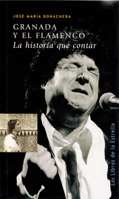 GRANADA Y EL FLAMENCO GRANADA Y EL FLAMENCO