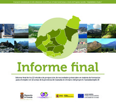 NECESIDADES FORMATIVAS DE LA PROVINCIA DE GRANADA NECESIDADES FORMATIVAS DE LA PROVINCIA DE GRANADA