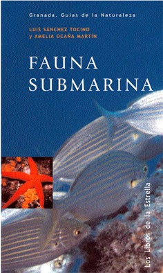 FAUNA SUBMARINA FAUNA SUBMARINA
